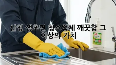 산청 생초면 청소업체, 깨끗함 그 이상의 가치!