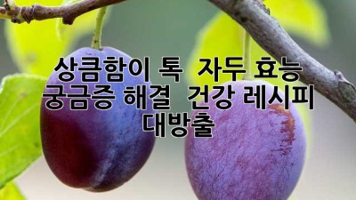 상큼함이 톡! ✨ 자두 효능 궁금증 해결 & 건강 레시피 대방출! 🍑